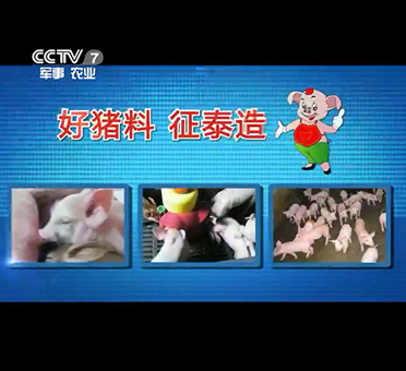 公司收到客戶致我司售后服務的感謝信